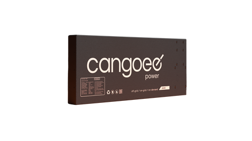Cangoee ONE - 110Ah with 120A HP BMS
