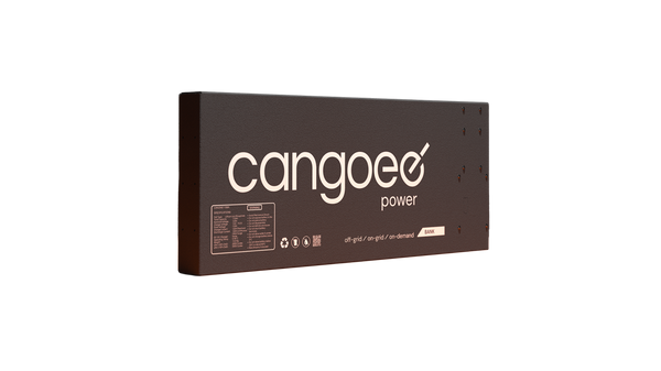 Cangoee ONE - 110Ah with 120A HP BMS